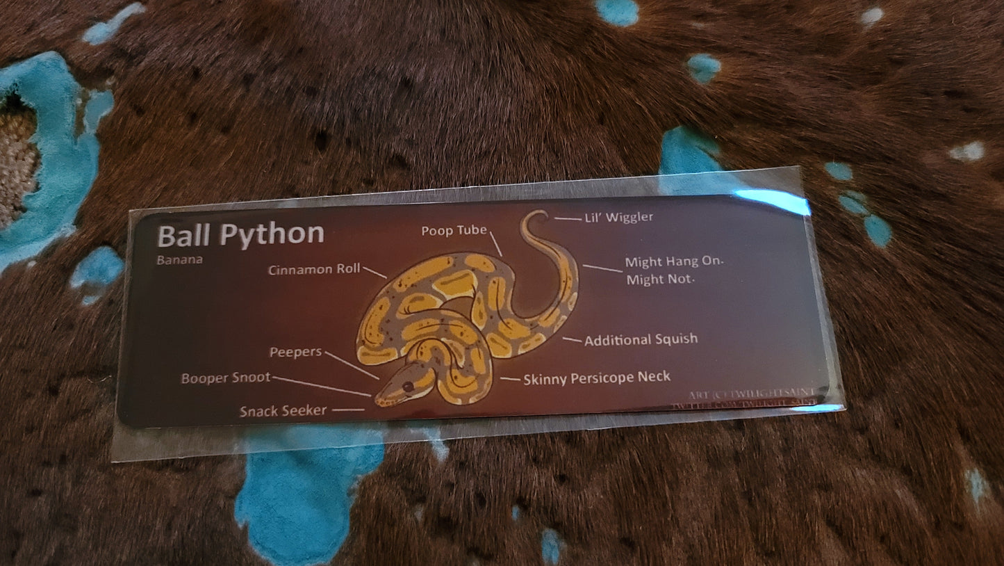 Metal Aluminum Bookmark Prints, Anatomy of a Ball Python