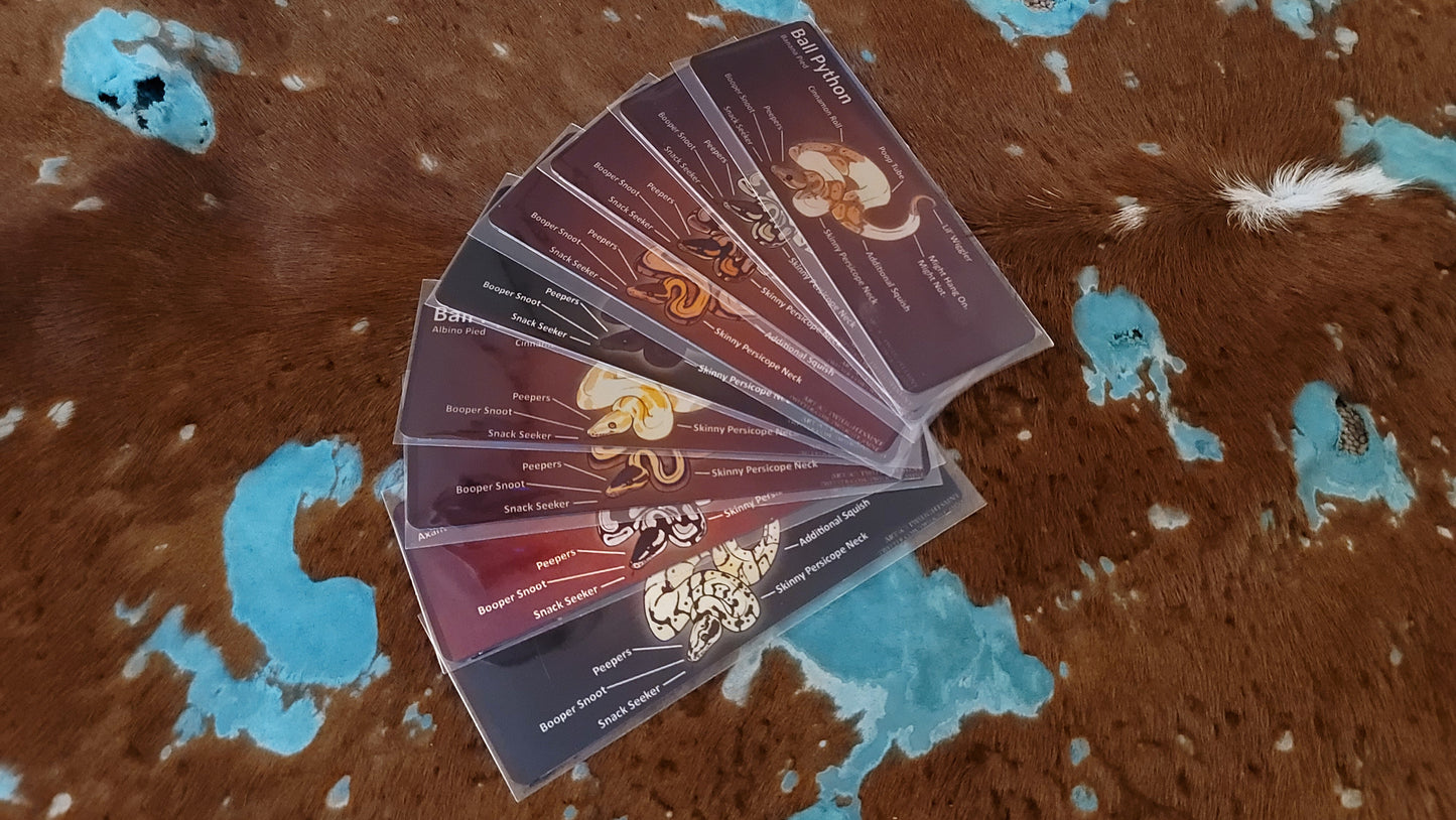 Metal Aluminum Bookmark Prints, Anatomy of a Ball Python