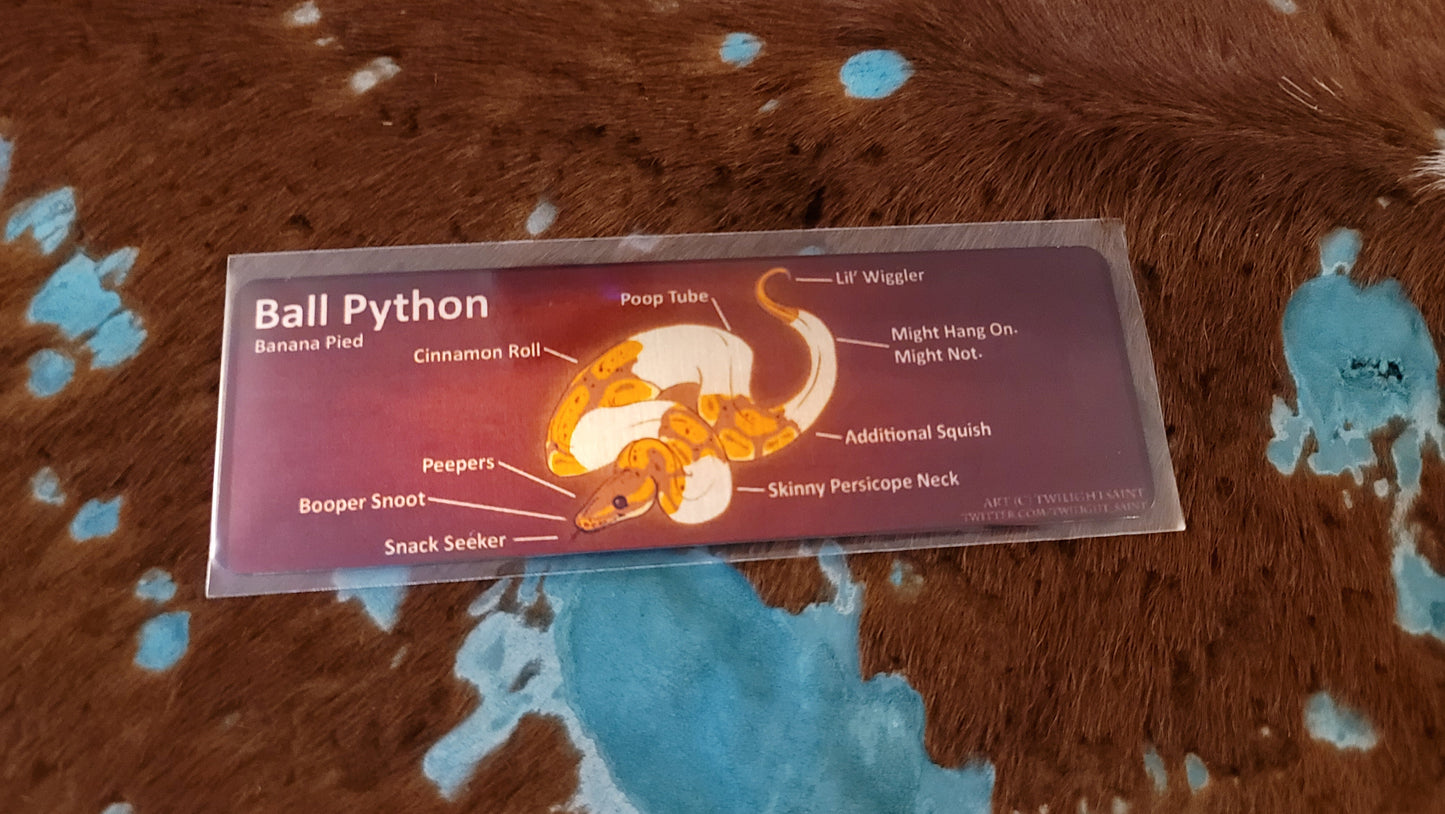 Metal Aluminum Bookmark Prints, Anatomy of a Ball Python
