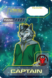 DSNA Furry Metal Captain Badge