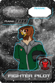 DSNA Furry Metal Fighter Pilot Badge