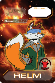 DSNA Furry Metal Helm Badge