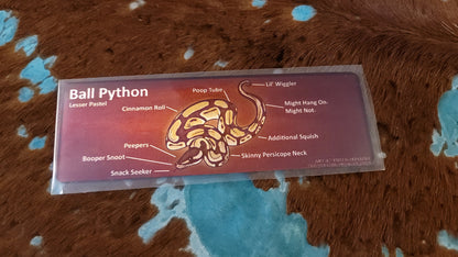Metal Aluminum Bookmark Prints, Anatomy of a Ball Python