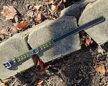 Tough Hide Pilot Light Collar Choker