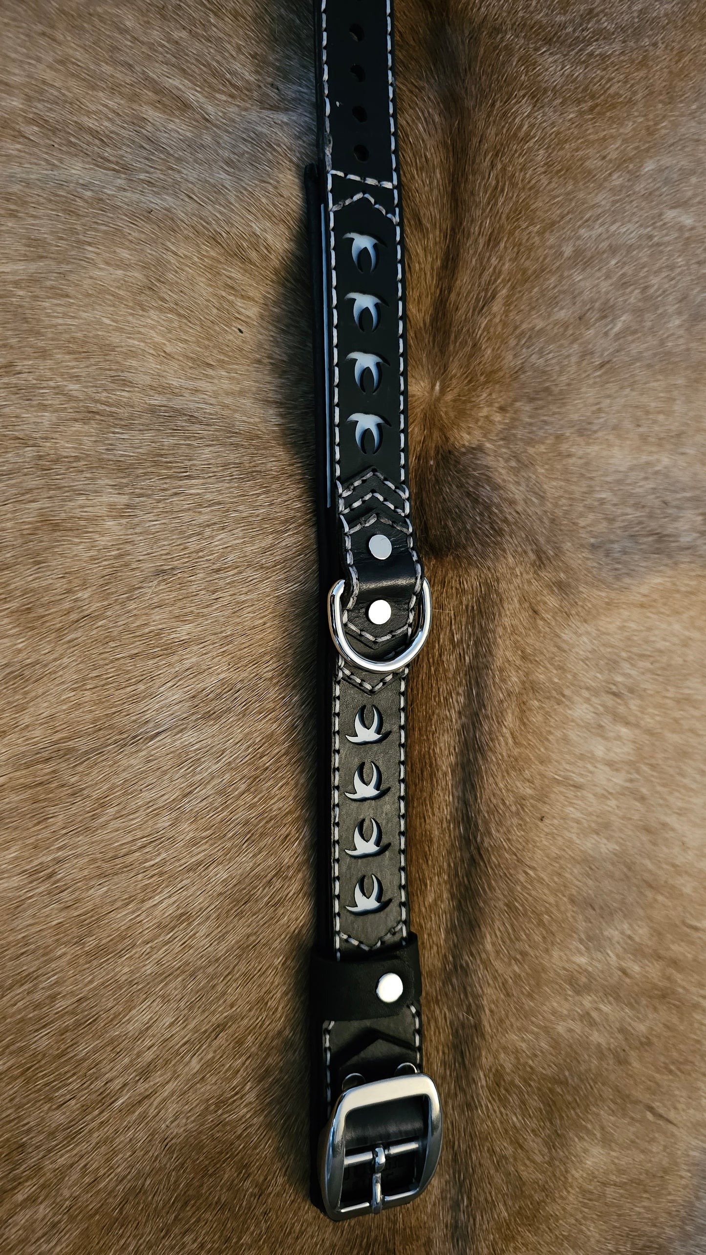 Tough Hide Claw and Fang Theme Collar Choker