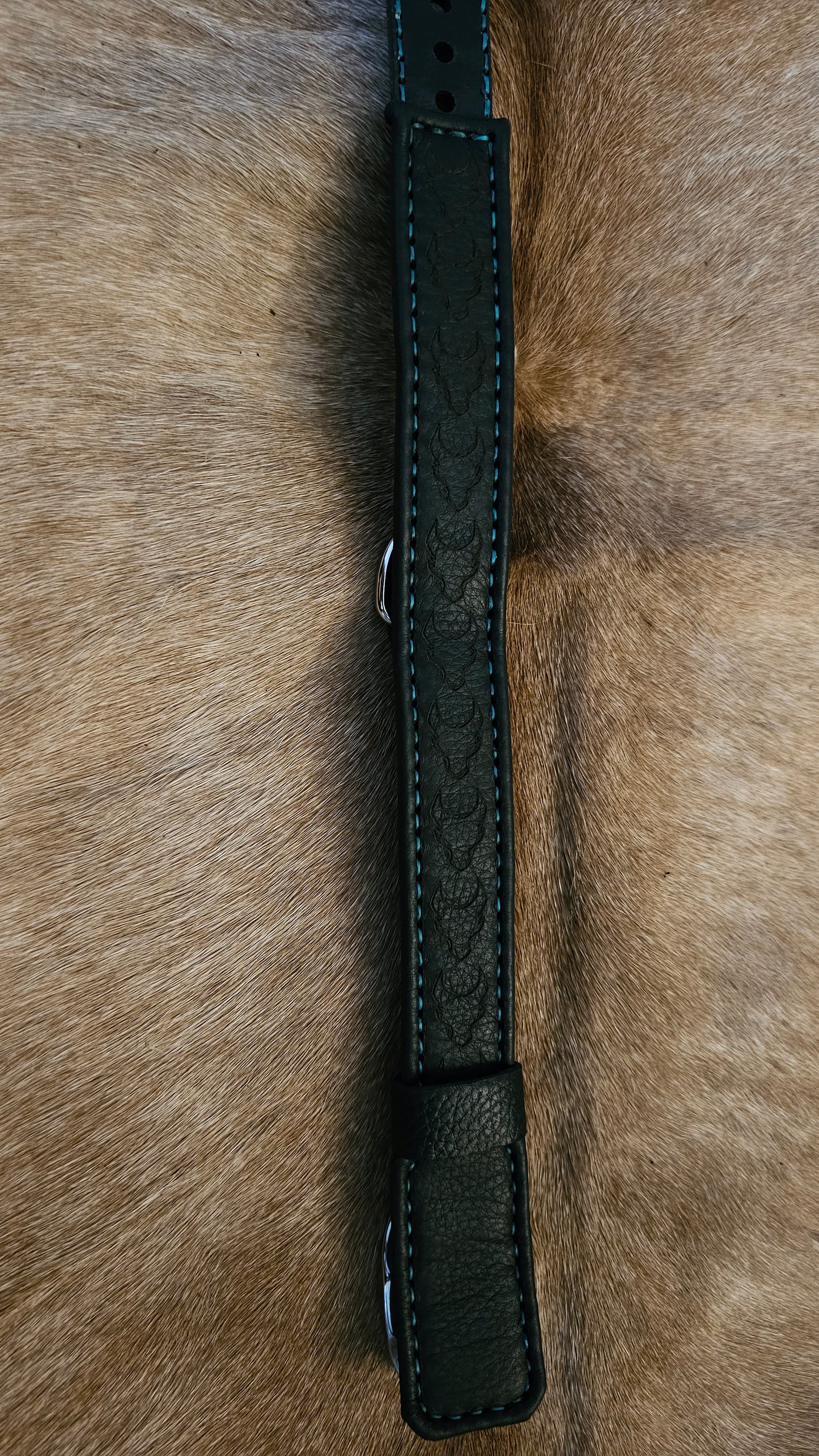 Tough Hide Claw and Fang Theme Collar Choker