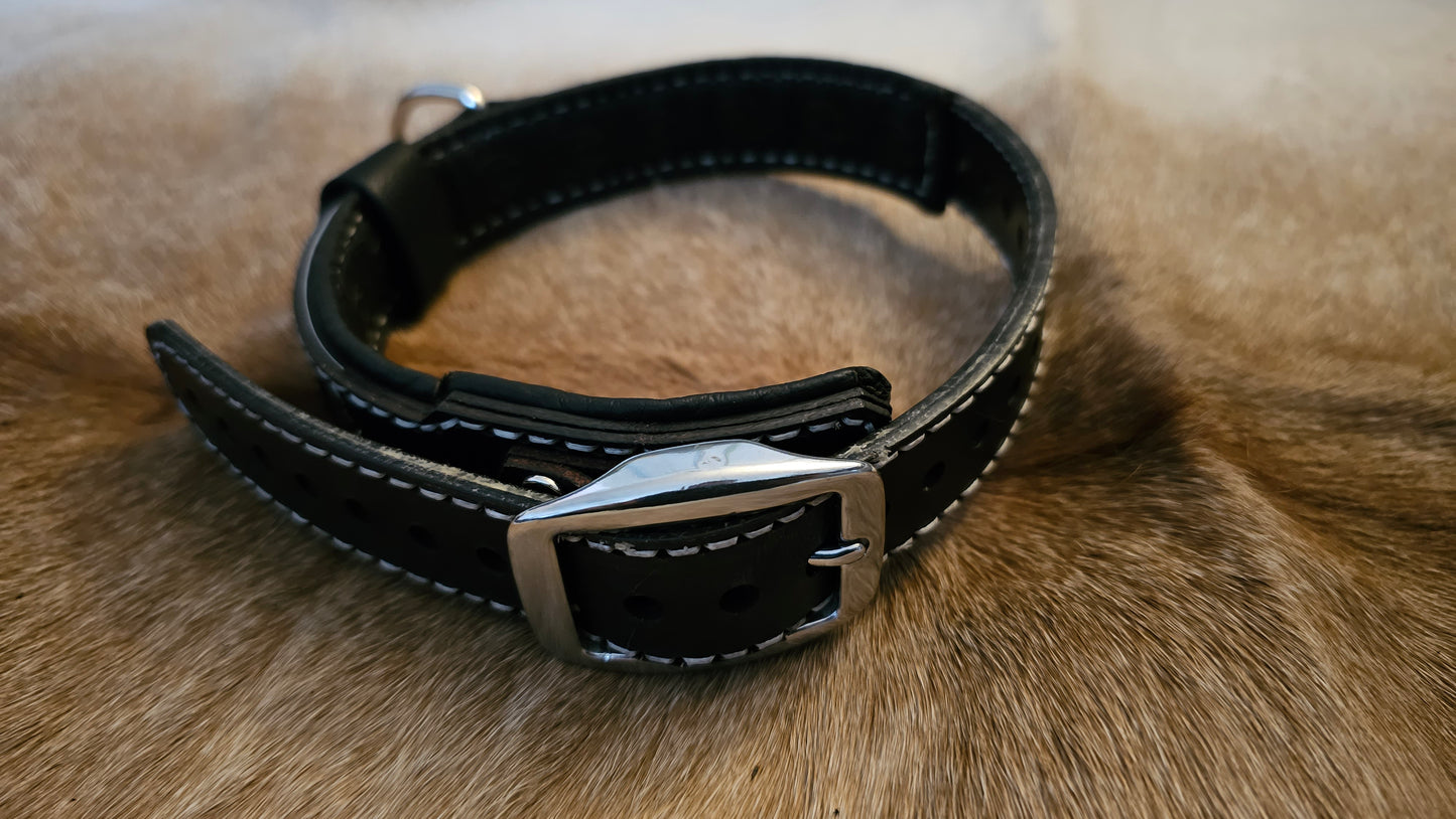 Tough Hide Claw and Fang Theme Collar Choker