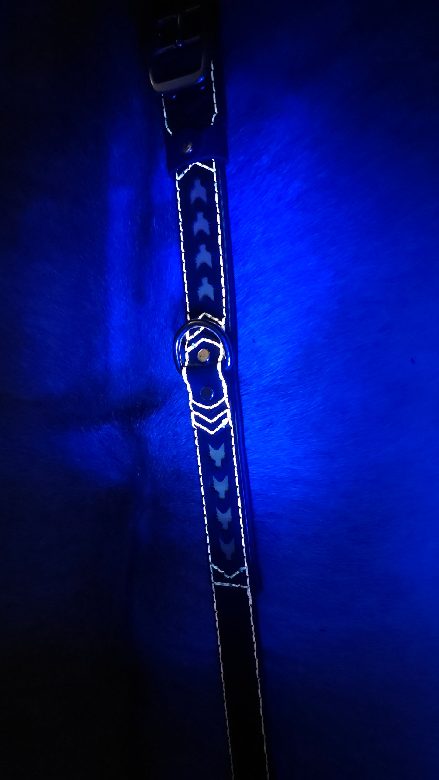 Tough Hide Fox Collar Choker