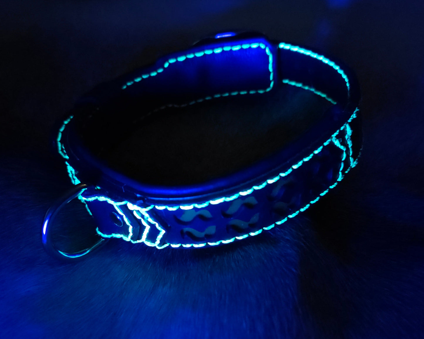 Tough Hide Pilot Light Collar Choker