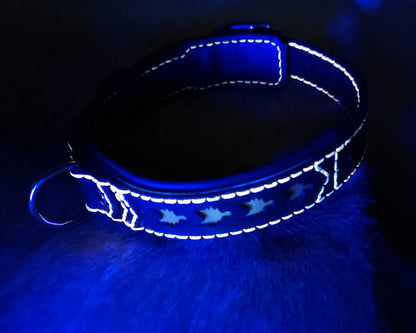 Tough Hide Fox Collar Choker