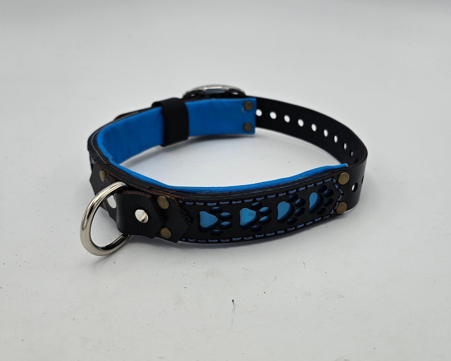 Tough Hide Simple Collar Neon Blue