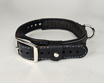 Tough Hide Current Affairs Collar Choker