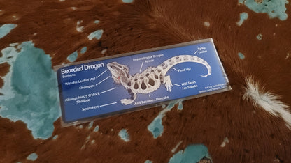 Metal Aluminum Bookmarks, Anatomy of a Bearded Dragon